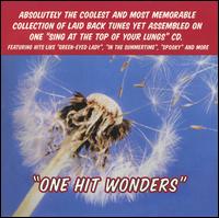 One Hit Wonders [Rock River] von One Hit Wonders