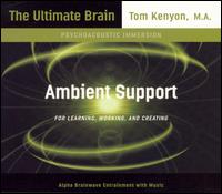 Ambient Support for Learning, Working, And Creating von Tom Kenyon