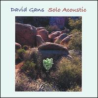 Solo Acoustic von David Gans