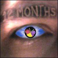 12 Months von Joe Chinnici