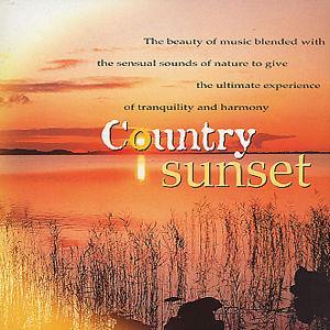 Country Sunset von Anton Hughes