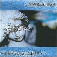 Variations on a Dream von Pineapple Thief