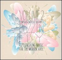 Buzzin' Fly, Vol. 2 von Ben Watt