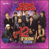 12 Grandes Exitos, Vol. 2 von Chicos de Barrio