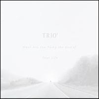 What Are You Doing the Rest of Your Life von The Trio