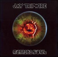 Gemini Soul von Jay Tripwire