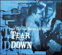 Tear It Down von David Bowler