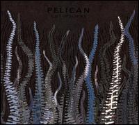 City of Echoes von Pelican