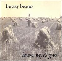 Between Hay & Grass von Buzzy Beano