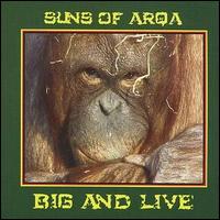 Big and Live von Suns of Arqa