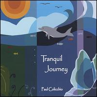 Tranquil Journey von Paul Colicchio