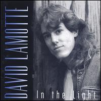 In the Light von David LaMotte