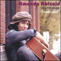 Undivided von Amanda Abizaid