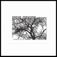 Understories von Steve Mayone