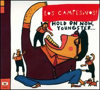 Hold on Now, Youngster... von Los Campesinos!