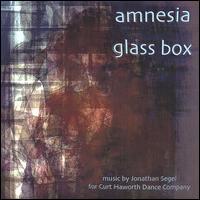 Amnesia Glass Box von Jonathan Segel