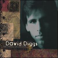 Artful Collection von David Diggs