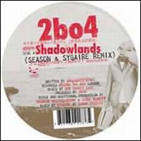 Shadowlands & Junkyard Gods Remixes von Two Banks of Four