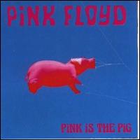 Pink Is the Pig von Pink Floyd