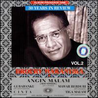 30 Years in Review, Vol. 2 von Broery Marantika