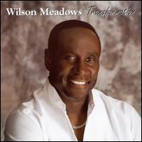 Transformation von Wilson Meadows