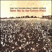 Meet Me in the Cotton Field von Terry "Big T" de Rouen