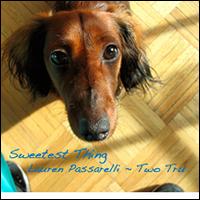 Sweetest Thing von Lauren Passarelli