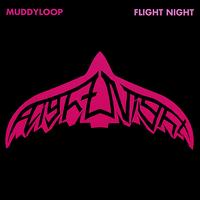 Flight Night von Muddyloop