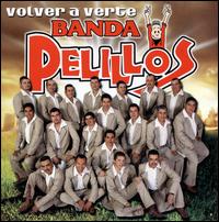 Volver a Verte von Banda Pelillos