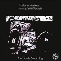 Lion Is Dreaming von Stefano Maltese