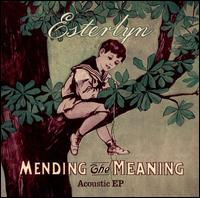 Mending the Meaning von Esterlyn