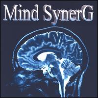 Mind Synerg von Gina Lorenzo