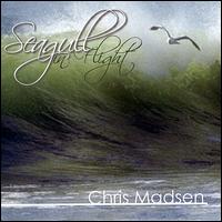 Seagull in Flight von Chris Madsen