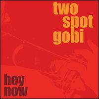 Hey Now von Two Spot Gobi