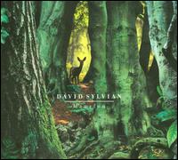 Manafon von David Sylvian